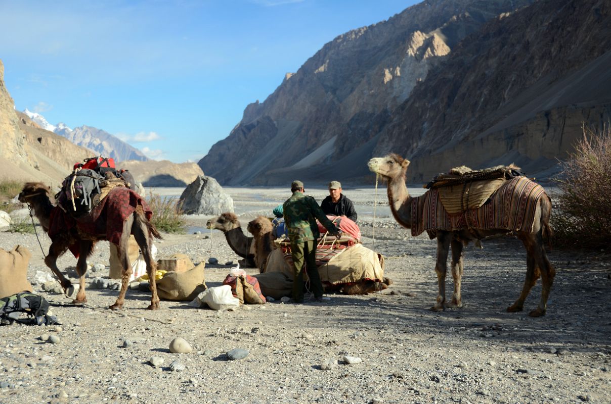 25 Loading The Camels At River Junction Camp Looking To The West Early Morning In The Shaksgam Valley On Trek To K2 North Face In China